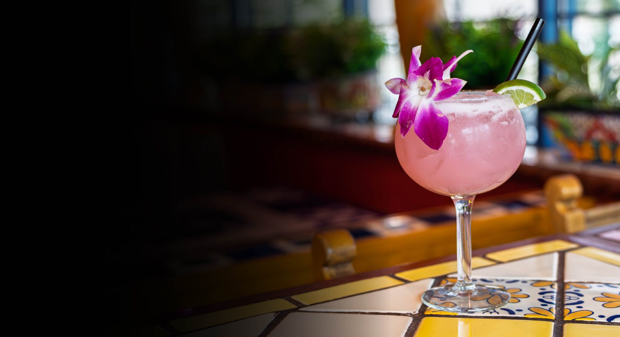 Pink Margarita with an orchid flower garnish